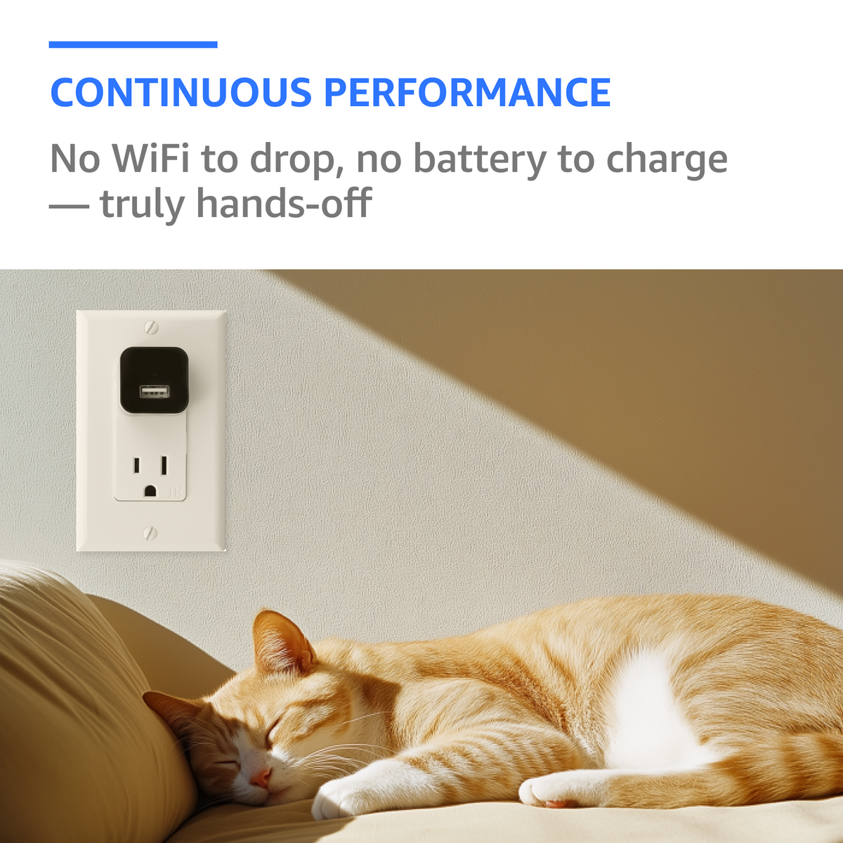 No-WiFi camera in a wall outlet above a sleeping cat, illustrating mains-powered recording without a battery.